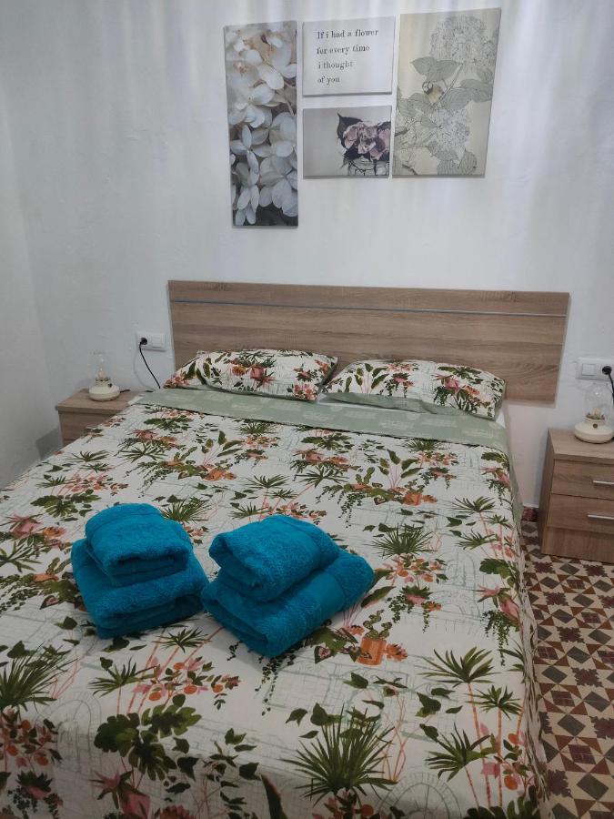 Estudio Alicia روتا المظهر الخارجي الصورة